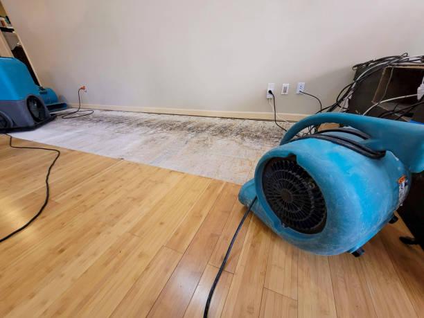 Professional Emergency Water Damage technician working in Sumner, IA